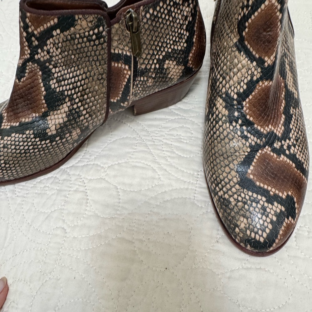 Sam Edelman Snake Print Ankle Boots - Brown and Black